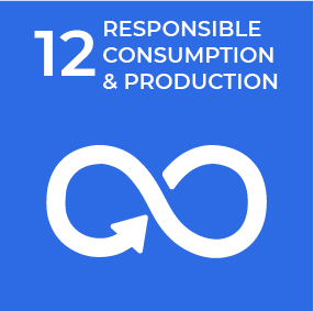 Responsible Consumption and Production